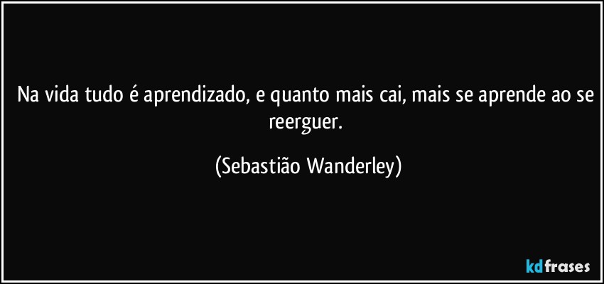 Na vida tudo é aprendizado, e quanto mais cai, mais se aprende ao se reerguer. (Sebastião Wanderley)