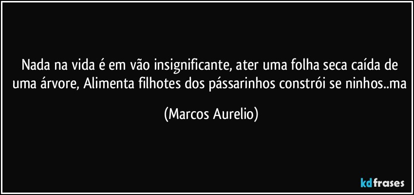 Nada na vida  é em vão insignificante, ater uma folha seca caída de uma árvore, Alimenta filhotes dos pássarinhos constrói se ninhos..ma (Marcos Aurelio)