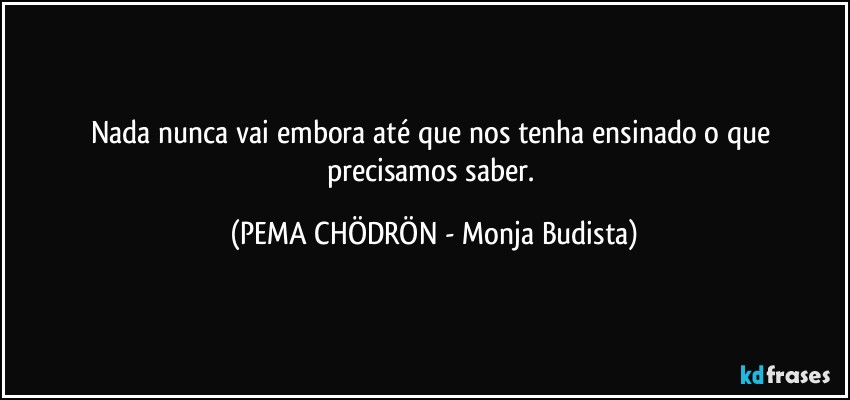 Nada nunca vai embora até que nos tenha ensinado o que precisamos saber. (PEMA CHÖDRÖN - Monja Budista)