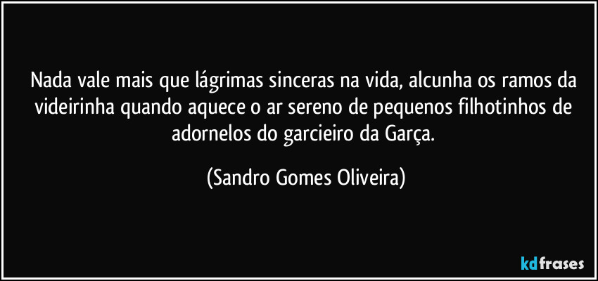 Nada vale mais que lágrimas sinceras na vida, alcunha os ramos da videirinha quando aquece o ar sereno de pequenos filhotinhos de adornelos do garcieiro da Garça. (Sandro Gomes Oliveira)