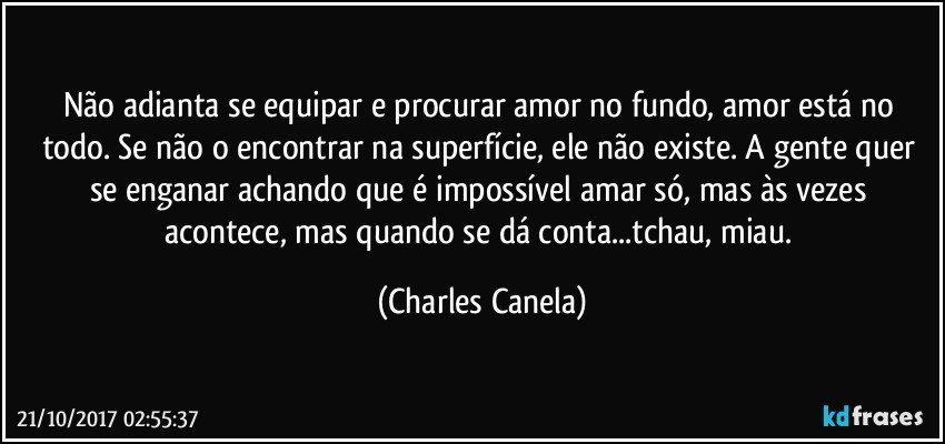 Não adianta se equipar e procurar amor no fundo, amor está no todo. Se não o encontrar na superfície, ele não existe. A gente quer se enganar achando que é impossível amar só, mas às vezes acontece, mas quando se dá conta...tchau, miau. (Charles Canela)