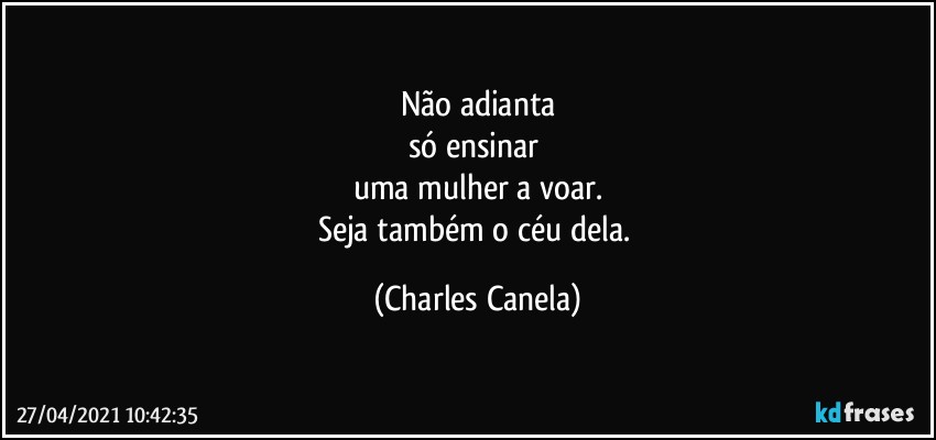 Não adianta
só ensinar 
uma mulher a voar.
Seja também o céu dela. (Charles Canela)