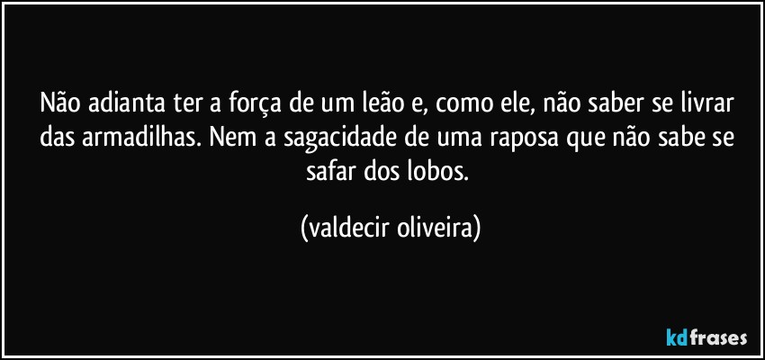 Não adianta ter a força de um leão e, como ele, não saber se livrar das armadilhas. Nem a sagacidade de uma raposa que não sabe se safar dos lobos. (valdecir oliveira)