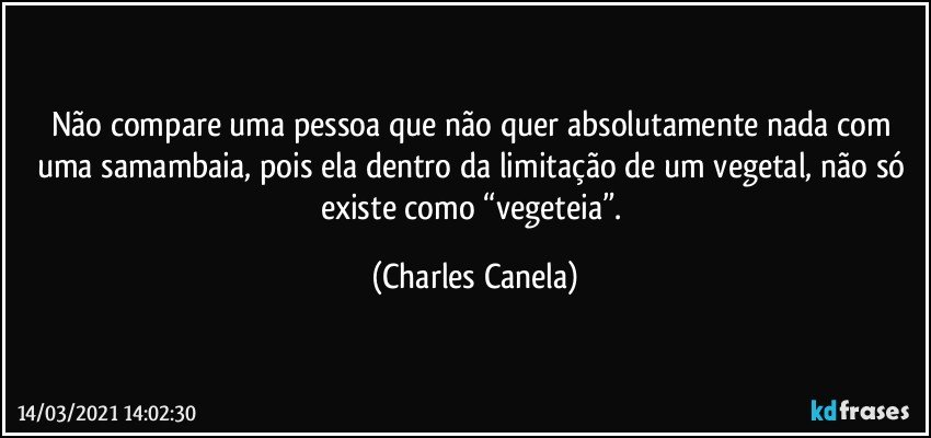 Não compare uma pessoa que não quer absolutamente nada com uma samambaia, pois ela dentro da limitação de um vegetal, não só existe como “vegeteia”. (Charles Canela)