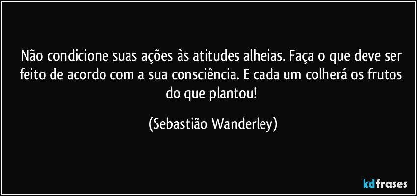 Não condicione suas ações às atitudes alheias. Faça o que deve ser feito de acordo com a sua consciência. E cada um colherá os frutos do que plantou! (Sebastião Wanderley)