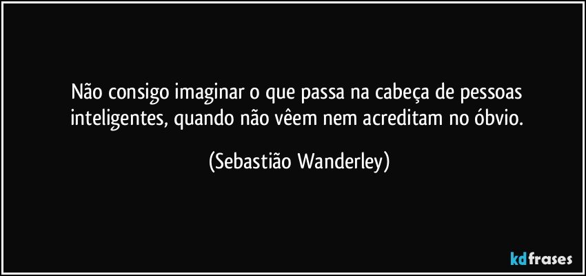 Não consigo imaginar o que  passa na cabeça de pessoas inteligentes, quando não vêem nem acreditam no óbvio. (Sebastião Wanderley)