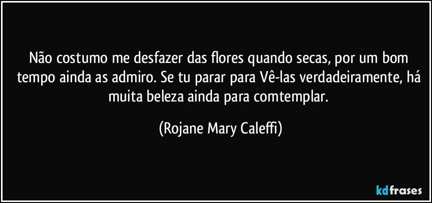 Não costumo me desfazer das flores quando secas, por um bom tempo ainda as admiro. Se tu parar para  Vê-las verdadeiramente, há  muita beleza ainda para comtemplar. (Rojane Mary Caleffi)