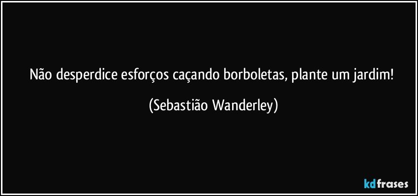 Não desperdice esforços caçando borboletas, plante um jardim! (Sebastião Wanderley)