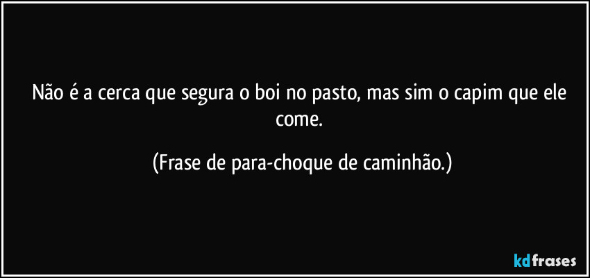 Não é a cerca que segura o boi no pasto, mas sim o capim que ele come. (Frase de para-choque de caminhão.)