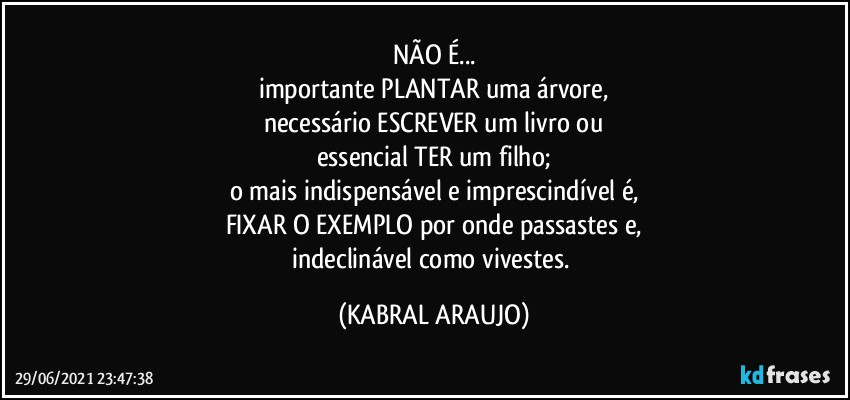 NÃO É...
importante PLANTAR uma árvore,
necessário ESCREVER um livro ou
essencial TER um filho;
o mais indispensável e imprescindível é,
FIXAR O EXEMPLO por onde passastes e,
indeclinável como vivestes. (KABRAL ARAUJO)