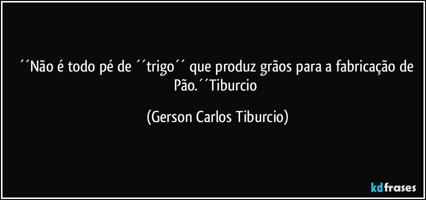 ´´Não é todo pé de ´´trigo´´ que produz grãos para a fabricação de Pão.´´Tiburcio (Gerson Carlos Tiburcio)