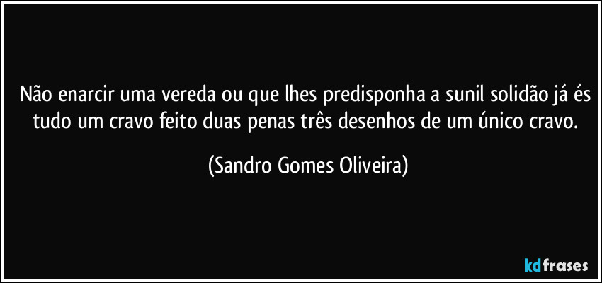 Não enarcir uma vereda ou que lhes predisponha a sunil solidão já és tudo um cravo feito duas penas três desenhos de um único cravo. (Sandro Gomes Oliveira)