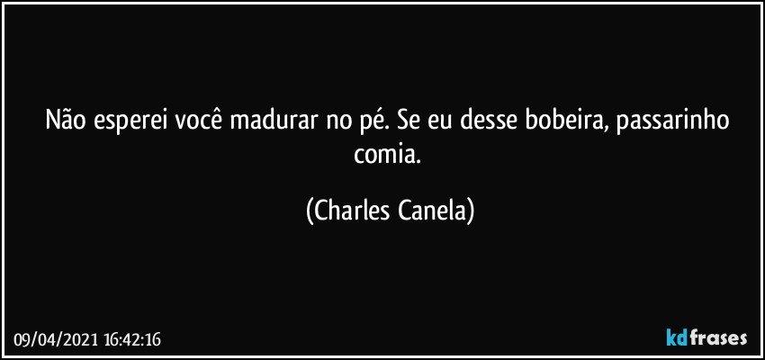 Não esperei você madurar no pé. Se eu desse bobeira, passarinho comia. (Charles Canela)