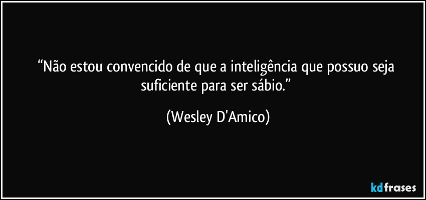 “Não estou convencido de que a inteligência que possuo seja suficiente para ser sábio.” (Wesley D'Amico)