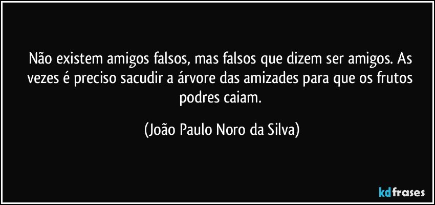 Não existem amigos falsos, mas falsos que dizem ser amigos. As vezes é preciso sacudir a árvore das amizades para que os frutos podres caiam. (João Paulo Noro da Silva)