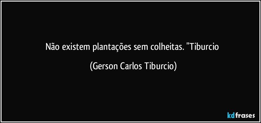 Não existem plantações sem colheitas. "Tiburcio (Gerson Carlos Tiburcio)