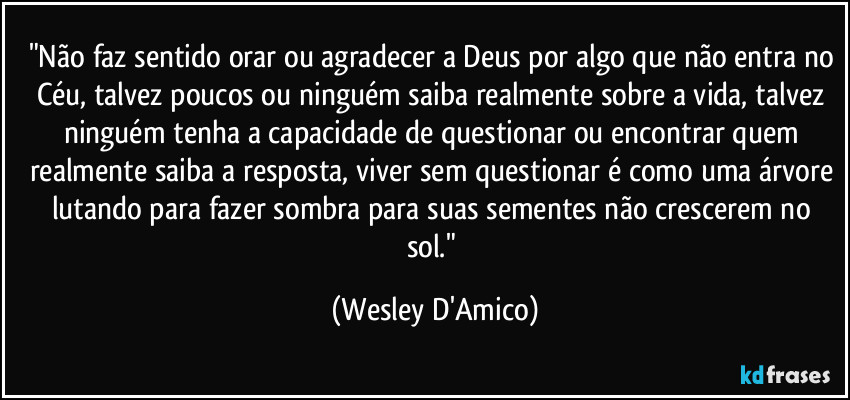 "Não faz sentido orar ou agradecer a Deus por algo que não entra no Céu, talvez poucos ou ninguém saiba realmente sobre a vida, talvez ninguém tenha a capacidade de questionar ou encontrar quem realmente saiba a resposta, viver sem questionar é como uma árvore lutando para fazer sombra para suas sementes não crescerem no sol." (Wesley D'Amico)