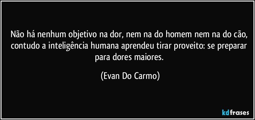 Não há nenhum objetivo na dor, nem na do homem nem na do cão, contudo a inteligência humana aprendeu tirar proveito: se preparar para dores maiores. (Evan Do Carmo)