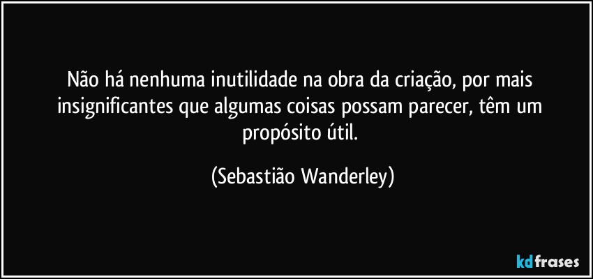 Não há nenhuma inutilidade na obra da criação, por mais insignificantes que algumas coisas possam parecer, têm um propósito útil. (Sebastião Wanderley)