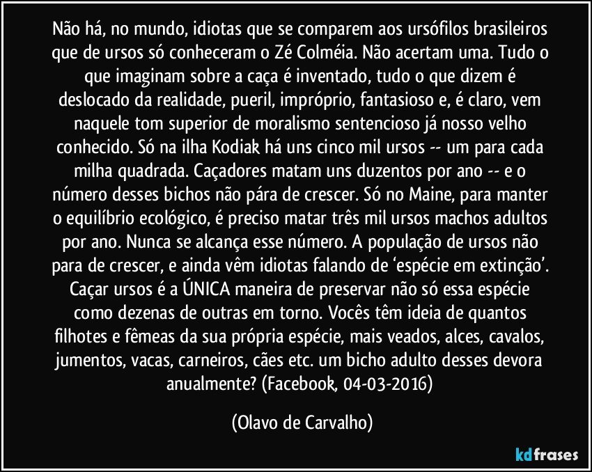 Não há, no mundo, idiotas que se comparem aos ursófilos brasileiros que de ursos só conheceram o Zé Colméia. Não acertam uma. Tudo o que imaginam sobre a caça é inventado, tudo o que dizem é deslocado da realidade, pueril, impróprio, fantasioso e, é claro, vem naquele tom superior de moralismo sentencioso já nosso velho conhecido. Só na ilha Kodiak há uns cinco mil ursos -- um para cada milha quadrada. Caçadores matam uns duzentos por ano -- e o número desses bichos não pára de crescer. Só no Maine, para manter o equilíbrio ecológico, é preciso matar três mil ursos machos adultos por ano. Nunca se alcança esse número. A população de ursos não para de crescer, e ainda vêm idiotas falando de ‘espécie em extinção’. Caçar ursos é a ÚNICA maneira de preservar não só essa espécie como dezenas de outras em torno. Vocês têm ideia de quantos filhotes e fêmeas da sua própria espécie, mais veados, alces, cavalos, jumentos, vacas, carneiros, cães etc. um bicho adulto desses devora anualmente? (Facebook, 04-03-2016) (Olavo de Carvalho)