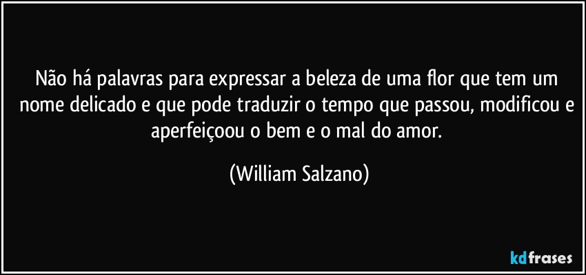 Não há palavras para expressar a beleza de uma flor que tem um nome delicado e que pode traduzir o tempo que passou, modificou e aperfeiçoou o bem e o mal do amor. (William Salzano)