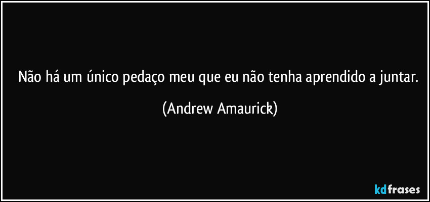 Não há um único pedaço meu  que eu não tenha aprendido a juntar. (Andrew Amaurick)