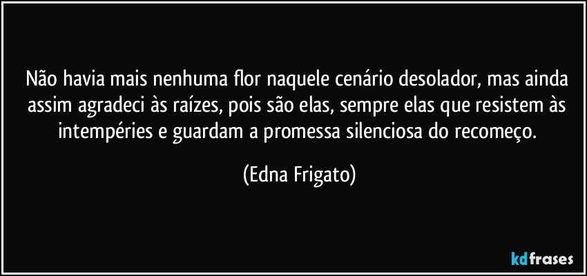 Não havia mais nenhuma flor naquele cenário desolador, mas ainda assim agradeci às raízes, pois são elas, sempre elas que resistem às intempéries e guardam a promessa silenciosa do recomeço. (Edna Frigato)