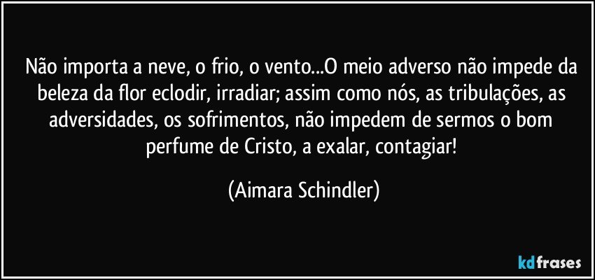 Não importa a neve, o frio, o vento...O meio adverso não impede da beleza da flor eclodir, irradiar; assim como nós, as tribulações, as adversidades, os sofrimentos, não impedem de sermos o bom perfume de Cristo, a exalar, contagiar! (Aimara Schindler)