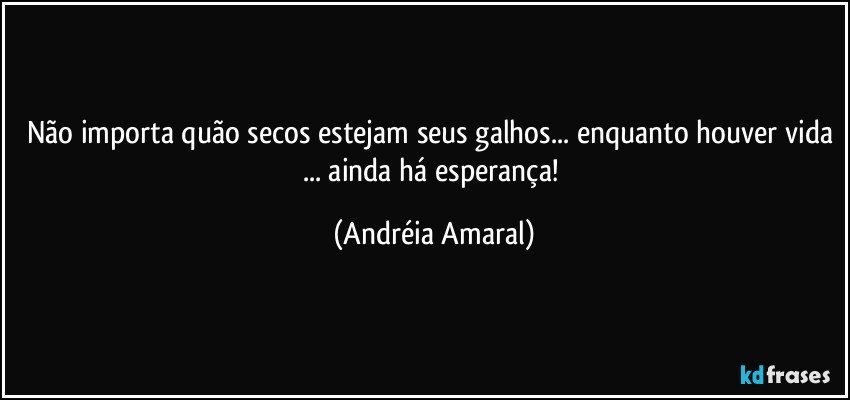 Não importa quão secos estejam seus galhos... enquanto houver vida ... ainda há esperança! (Andréia Amaral)