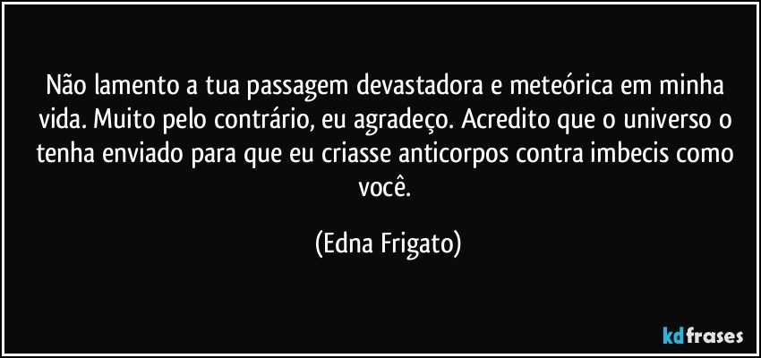 Não lamento a tua passagem devastadora e meteórica em minha vida. Muito pelo contrário, eu agradeço. Acredito que o universo o tenha enviado para que eu criasse anticorpos contra imbecis como você. (Edna Frigato)