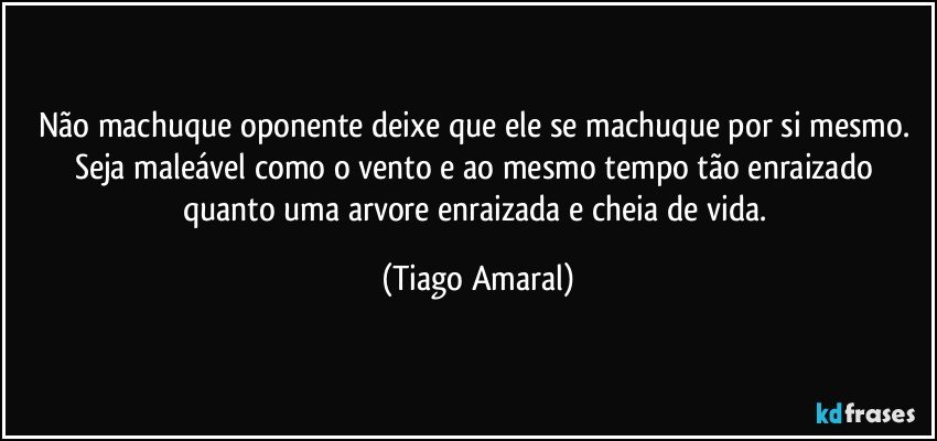 Não machuque oponente deixe que ele se machuque por si mesmo. Seja maleável como o vento e ao mesmo tempo tão enraizado quanto uma arvore enraizada e cheia de vida. (Tiago Amaral)