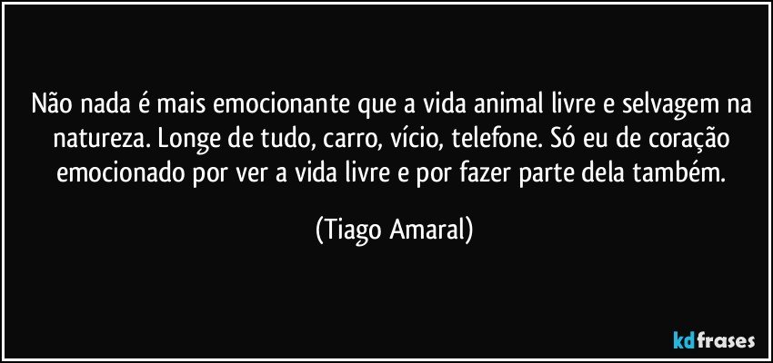 Não nada é mais emocionante que a vida animal livre e selvagem na natureza. Longe de tudo, carro, vício, telefone. Só eu de coração emocionado por ver a vida livre e por fazer parte dela também. (Tiago Amaral)