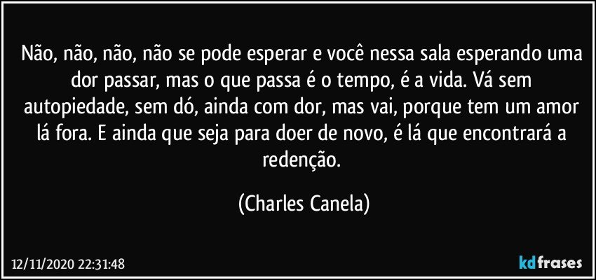 Não, não, não, não se pode esperar e você nessa sala esperando uma dor passar, mas o que passa é o tempo, é a vida. Vá sem autopiedade, sem dó, ainda com dor, mas vai, porque tem um amor lá fora. E ainda que seja para doer de novo, é lá que encontrará a redenção. (Charles Canela)