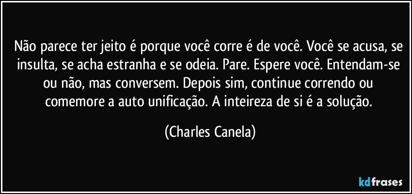 Não parece ter jeito é porque você corre é de você. Você se acusa, se insulta, se acha estranha e se odeia. Pare. Espere você. Entendam-se ou não, mas conversem. Depois sim, continue correndo ou comemore a auto unificação. A inteireza de si é a solução. (Charles Canela)