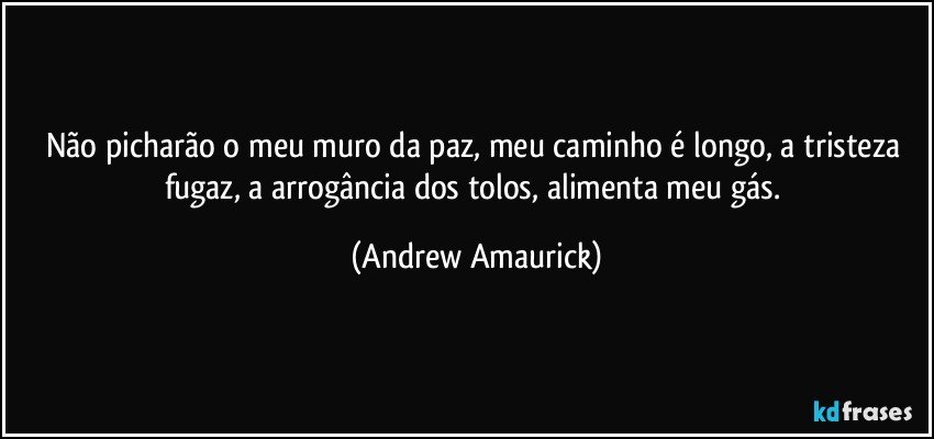 Não picharão o meu muro da paz, meu caminho é longo, a tristeza fugaz, a arrogância dos tolos, alimenta meu gás. (Andrew Amaurick)