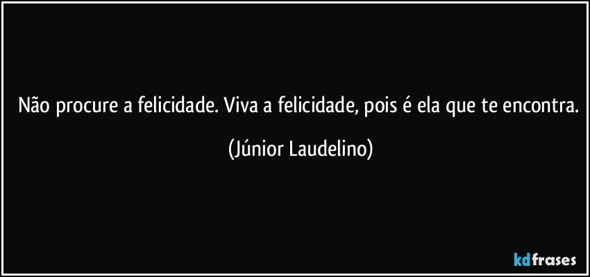 Não procure a felicidade. Viva a felicidade, pois é ela que te encontra. (Júnior Laudelino)