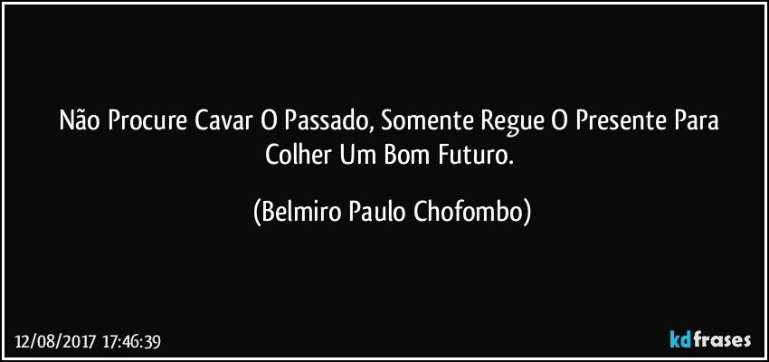 Não Procure Cavar O Passado, Somente Regue O Presente Para Colher Um Bom Futuro. (Belmiro Paulo Chofombo)