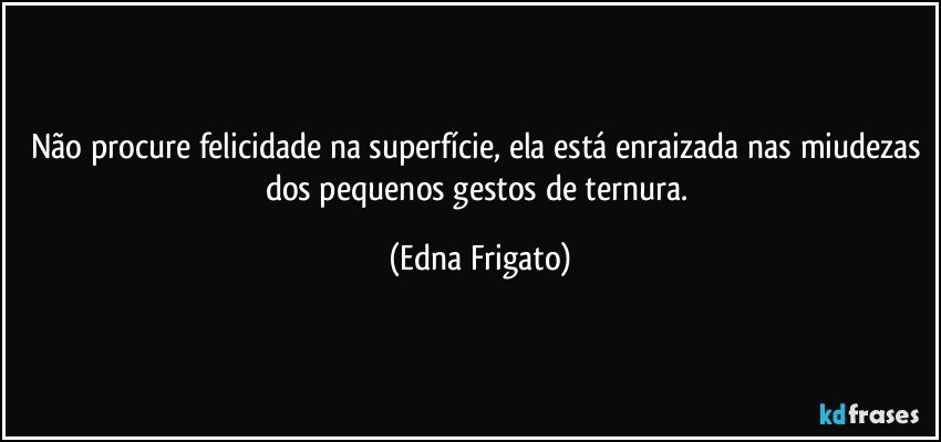 Não procure felicidade na superfície, ela está enraizada nas miudezas dos pequenos gestos de ternura. (Edna Frigato)