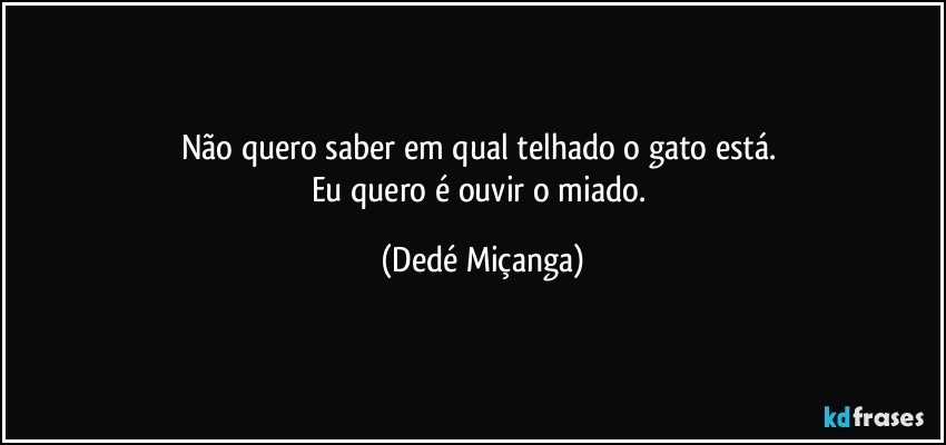 Não quero saber em qual telhado o gato está. 
Eu quero é ouvir o miado. (Dedé Miçanga)