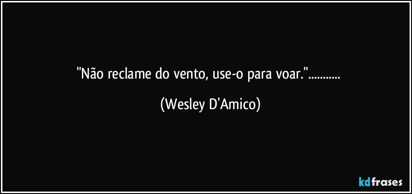 "Não reclame do vento, use-o para voar."... (Wesley D'Amico)