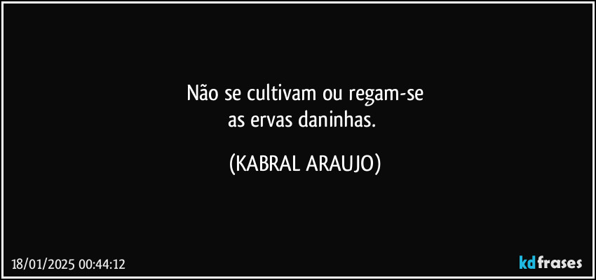 Não se cultivam ou regam-se
as ervas daninhas. (KABRAL ARAUJO)