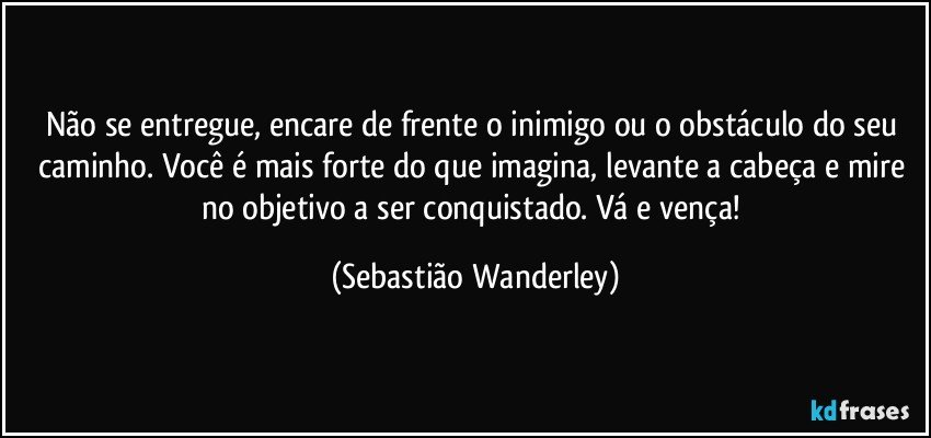 Não se entregue, encare de frente  o inimigo ou o obstáculo do seu caminho. Você é mais forte do que imagina, levante a cabeça e mire no objetivo a ser conquistado. Vá e vença! (Sebastião Wanderley)