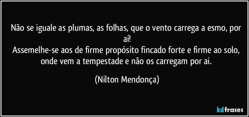 Não se iguale as plumas, as folhas, que o vento carrega a esmo, por aí!
Assemelhe-se aos de firme propósito fincado forte e firme ao solo, onde vem a tempestade e não os carregam por ai. (Nilton Mendonça)