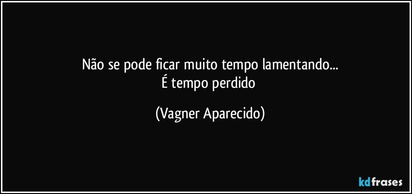 Não se pode ficar muito tempo lamentando...
É tempo perdido (Vagner Aparecido)