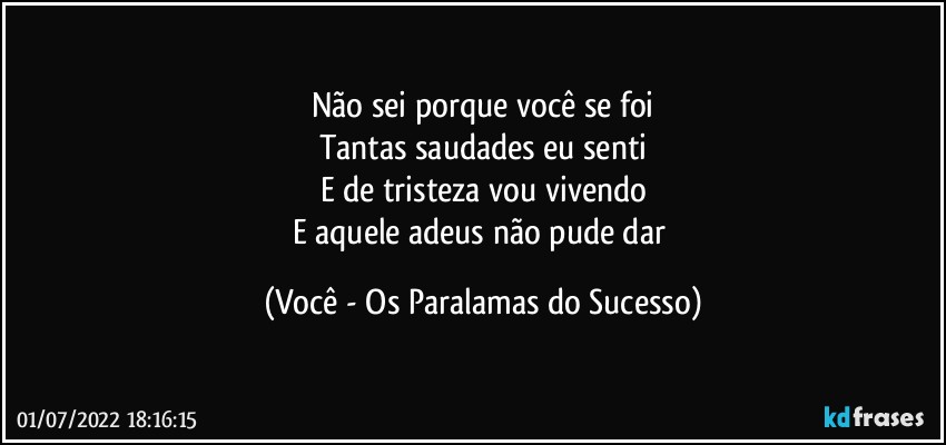 Não sei porque você se foi
Tantas saudades eu senti
E de tristeza vou vivendo
E aquele adeus não pude dar (Você - Os Paralamas do Sucesso)