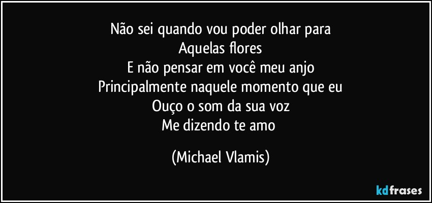 Não sei quando vou poder olhar para
Aquelas flores
E não pensar em você meu anjo
Principalmente naquele momento que eu
Ouço o som da sua voz
Me dizendo te amo (Michael Vlamis)