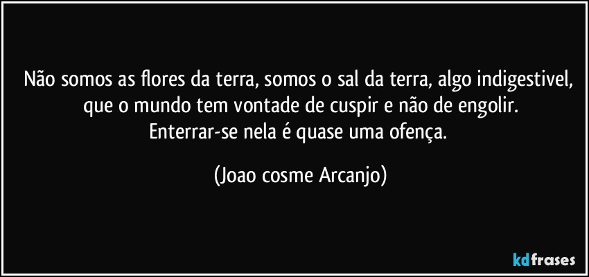 Não somos as flores da terra, somos o sal da terra, algo indigestivel, que o mundo tem vontade de cuspir e não de engolir.
Enterrar-se nela é quase uma ofença. (Joao cosme Arcanjo)