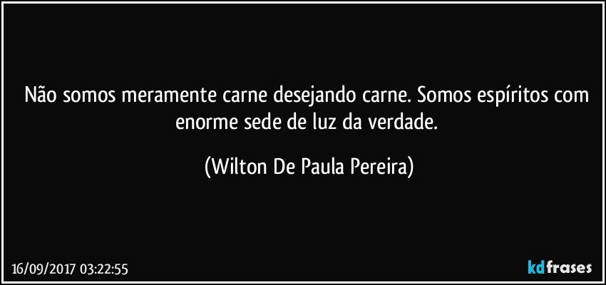 Não somos meramente carne desejando carne. Somos espíritos com enorme sede de luz da verdade. (Wilton De Paula Pereira)