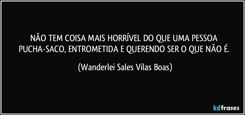 NÃO TEM COISA MAIS HORRÍVEL DO QUE UMA PESSOA PUCHA-SACO, ENTROMETIDA E QUERENDO SER O QUE NÃO É. (Wanderlei Sales Vilas Boas)