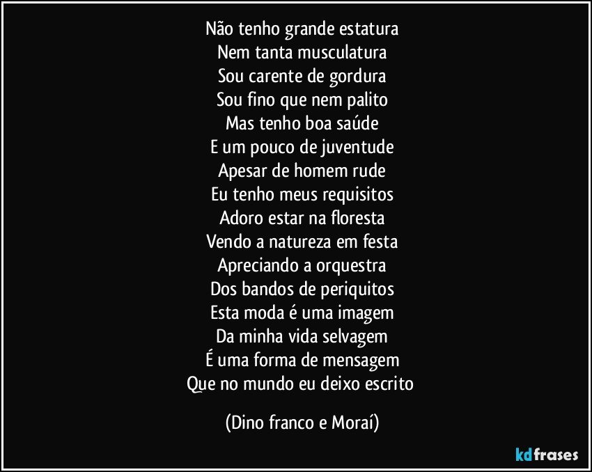 Não tenho grande estatura
Nem tanta musculatura
Sou carente de gordura
Sou fino que nem palito
Mas tenho boa saúde
E um pouco de juventude
Apesar de homem rude
Eu tenho meus requisitos
Adoro estar na floresta
Vendo a natureza em festa
Apreciando a orquestra
Dos bandos de periquitos
Esta moda é uma imagem
Da minha vida selvagem
É uma forma de mensagem
Que no mundo eu deixo escrito (Dino franco e Moraí)